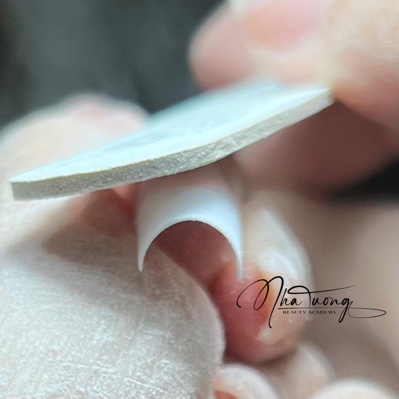 Những Điều Bạn Chưa Biết Về Ngành Nail Ở Nước Ngoài